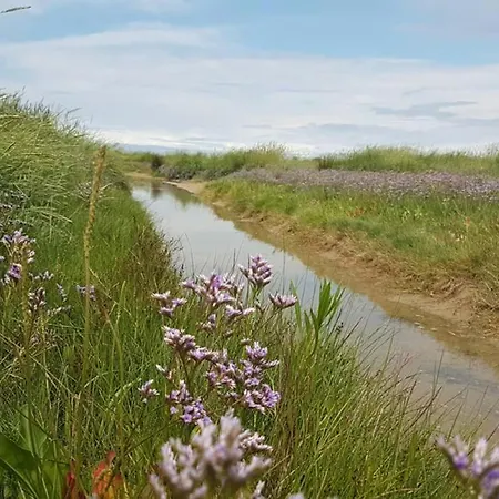 La Des Dunes A Fort-mahon * 포르마옹플라주