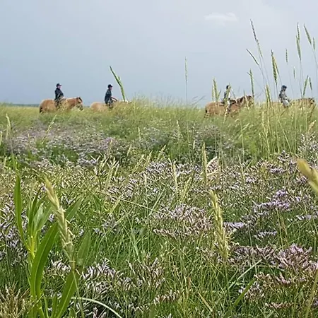 La Des Dunes A Fort-mahon 아파트 포르마옹플라주