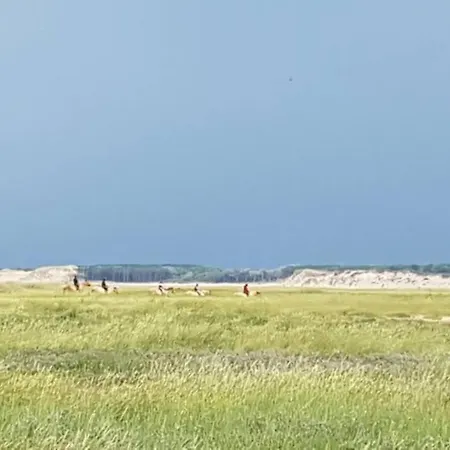 아파트 La Des Dunes A Fort-mahon