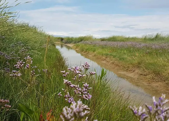 La Des Dunes A Fort-mahon * Fort-Mahon-Plage